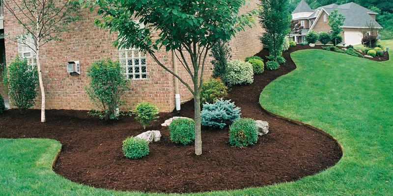 Landscaping & Lawn Care